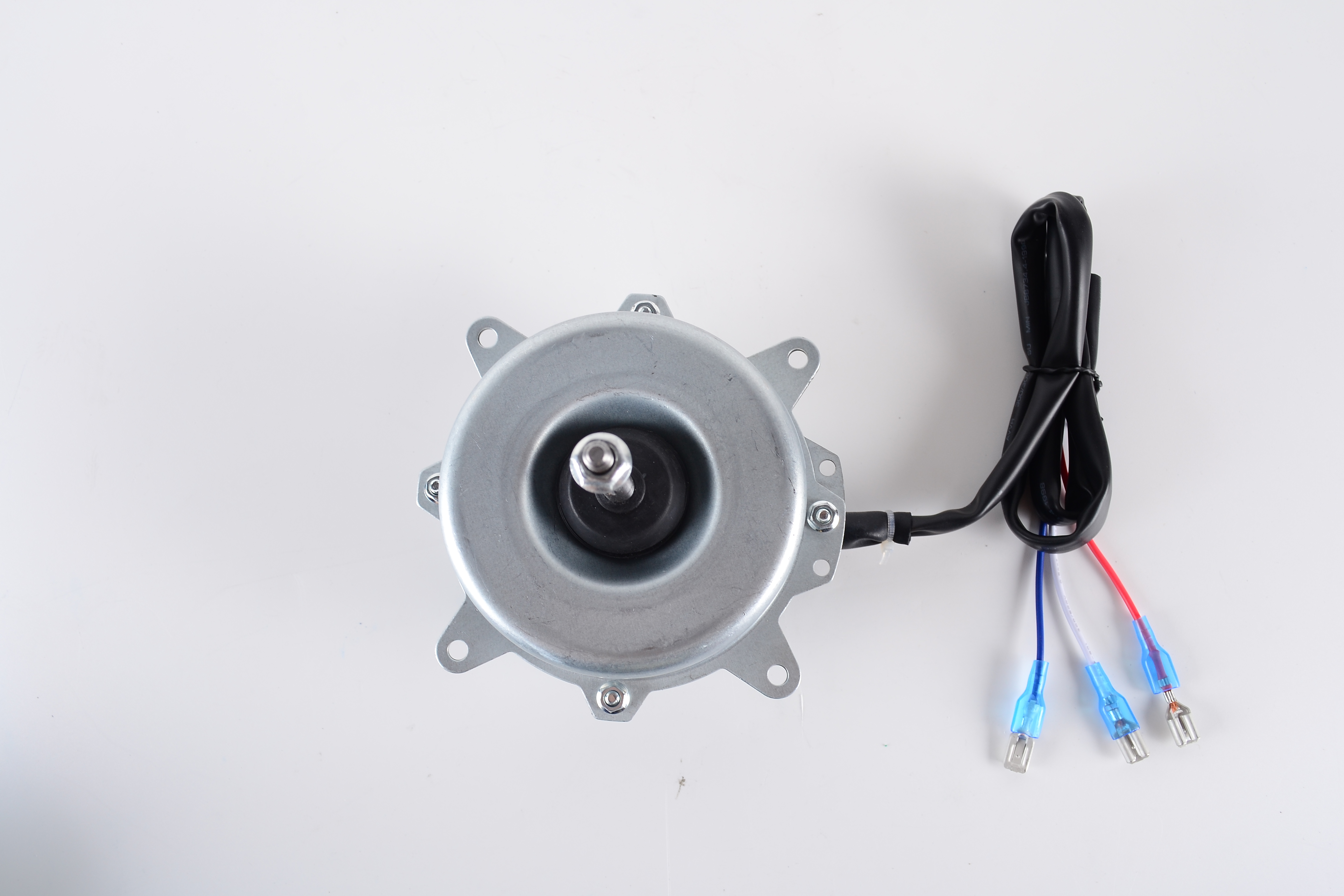 Motor - B01110095
